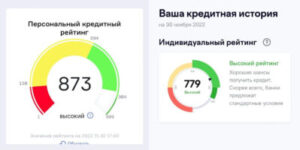 Кредитные истории и социальный рейтинг